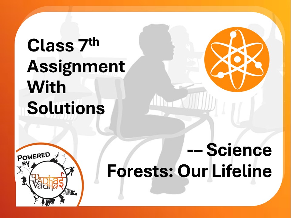 Class 7th Forests: Our Lifeline